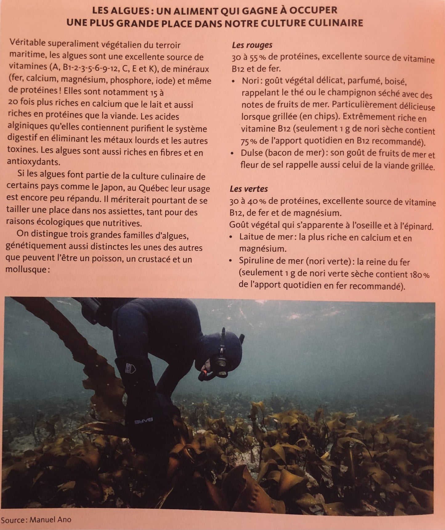 Cuisiner sans recettes - Guide de résilience alimentaire - Véronique Bouchard