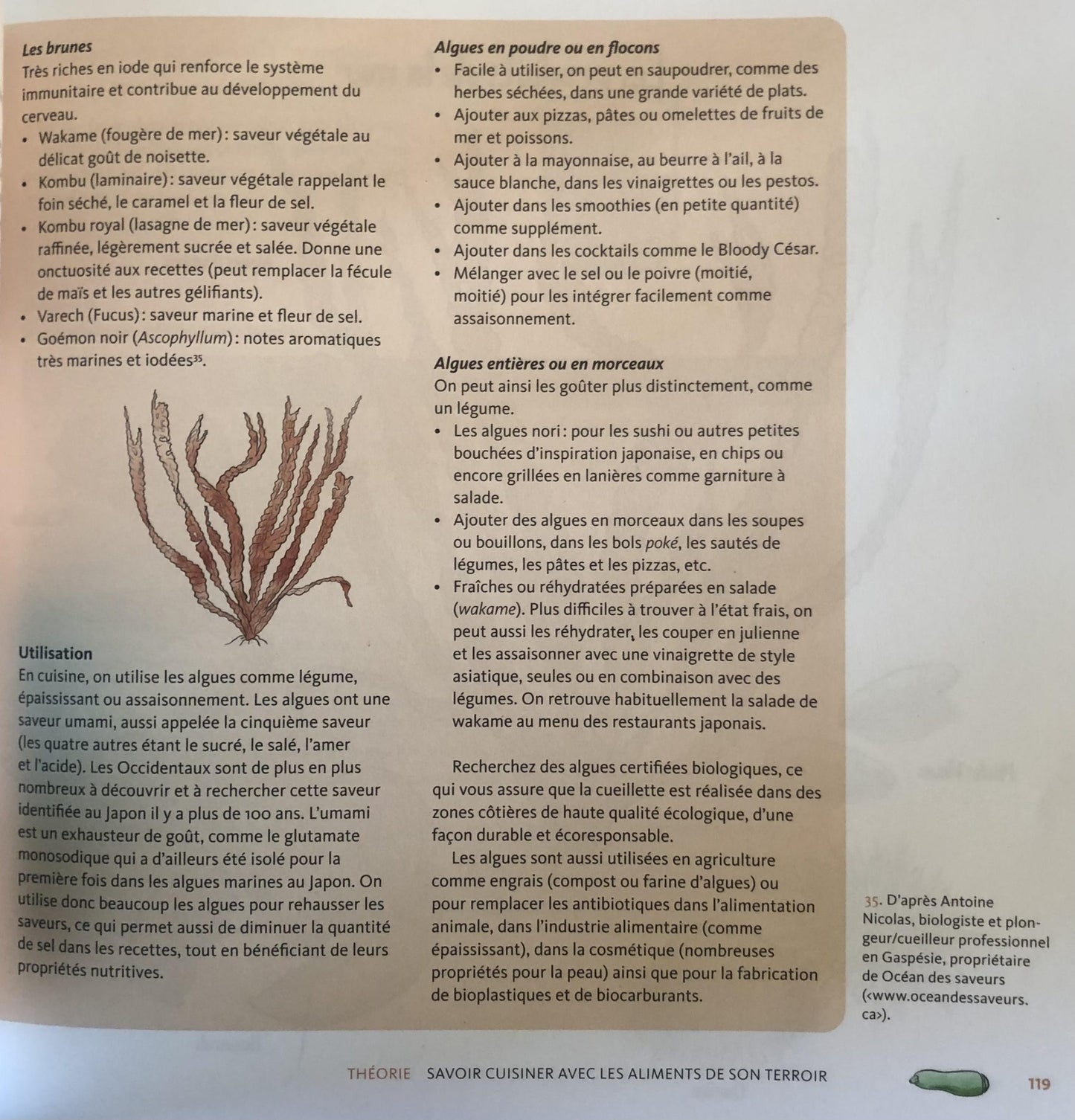 Cuisiner sans recettes - Guide de résilience alimentaire - Véronique Bouchard