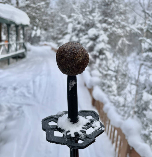 Boules d'énergie à la nori