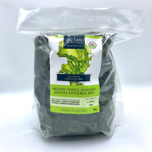 Laitue de mer (Sea lettuce) entière - Formats: 20g / 250g / 5lb / 10lb / 20lb
